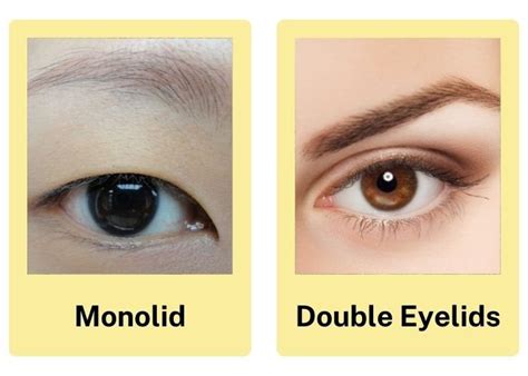 monolid ogen|5 Myths About Monolid vs Double Eyelid (Debunked)